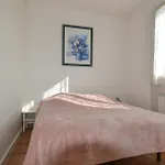 Pet Friendly In *